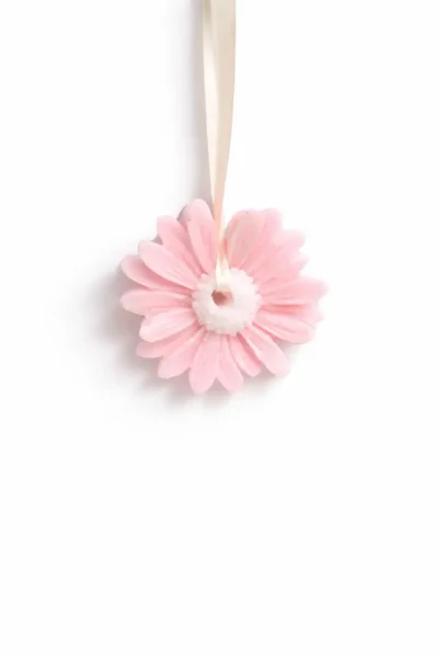 Daisy Pink
